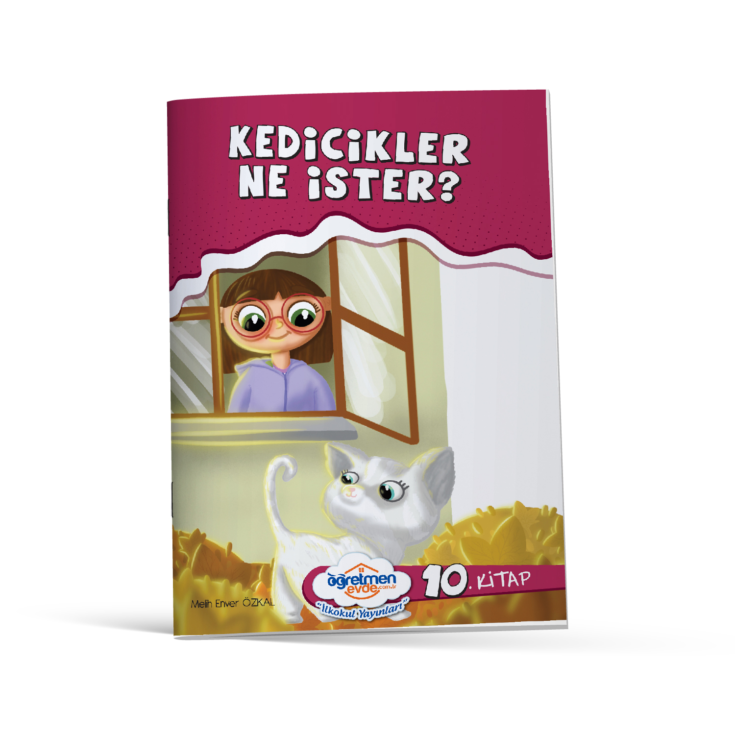 Bensu 10'lu Hikaye Seti - Kedicikler Ne İster?